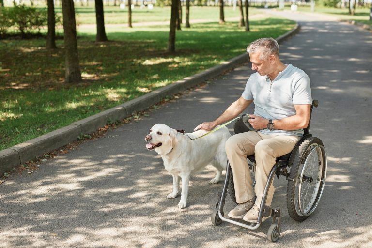 man-in-wheelchair-with-dog-in-park-2021-12-09-15-20-13-utc